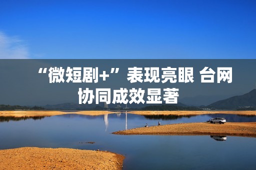 “微短剧+”表现亮眼 台网协同成效显著