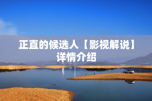 正直的候选人【影视解说】详情介绍