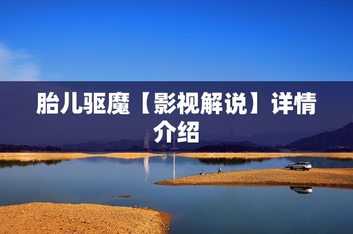 胎儿驱魔【影视解说】详情介绍