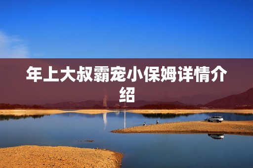 年上大叔霸宠小保姆详情介绍