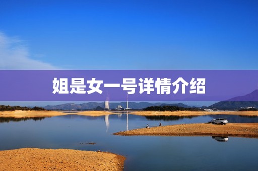 姐是女一号详情介绍