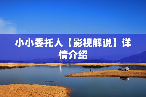 小小委托人【影视解说】详情介绍