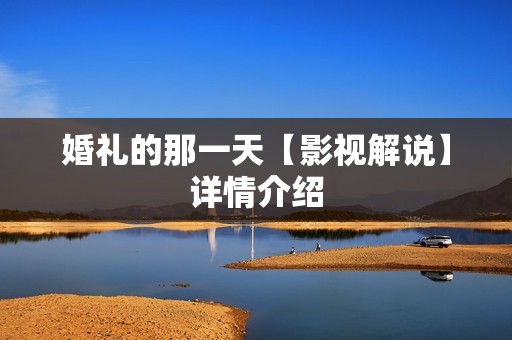 婚礼的那一天【影视解说】详情介绍