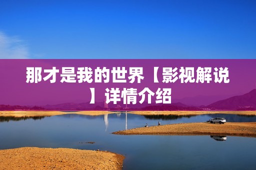 那才是我的世界【影视解说】详情介绍