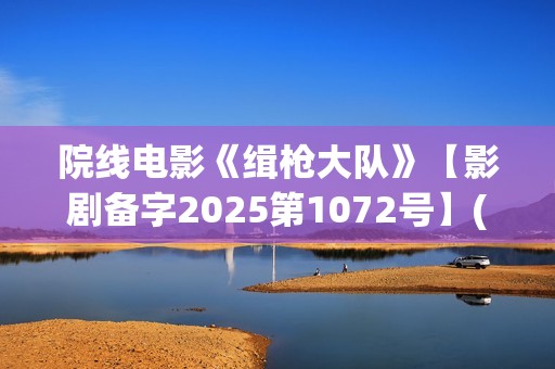 院线电影《缉枪大队》【影剧备字2025第1072号】(缉枪 720p)