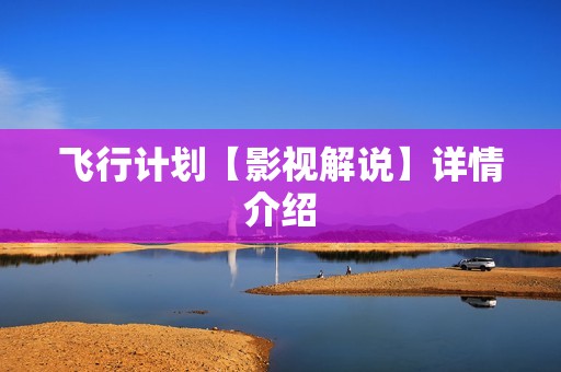 飞行计划【影视解说】详情介绍