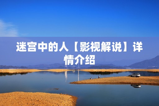 迷宫中的人【影视解说】详情介绍