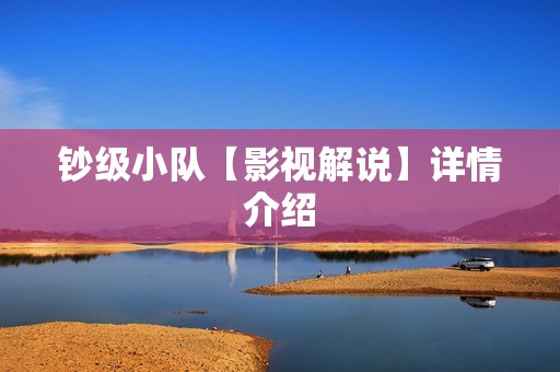 钞级小队【影视解说】详情介绍