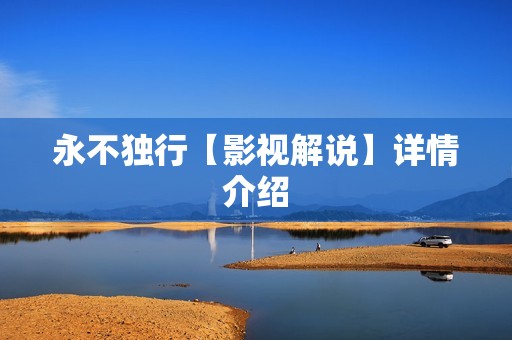 永不独行【影视解说】详情介绍