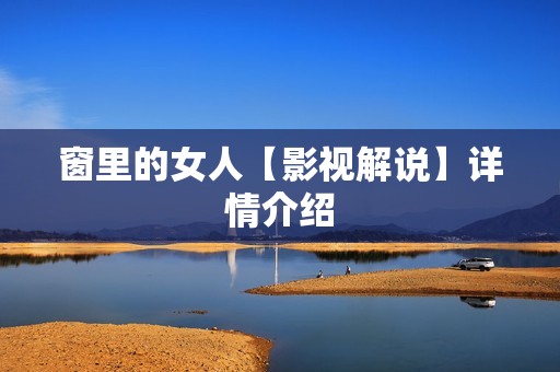 窗里的女人【影视解说】详情介绍
