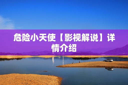 危险小天使【影视解说】详情介绍