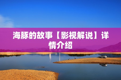 海豚的故事【影视解说】详情介绍