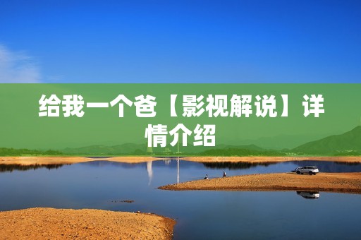 给我一个爸【影视解说】详情介绍