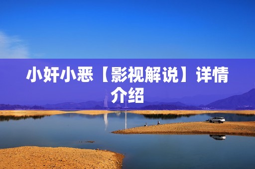 小奸小恶【影视解说】详情介绍
