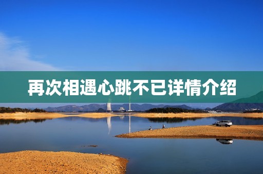 再次相遇心跳不已详情介绍