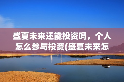 盛夏未来还能投资吗，个人怎么参与投资(盛夏未来怎么投资?)