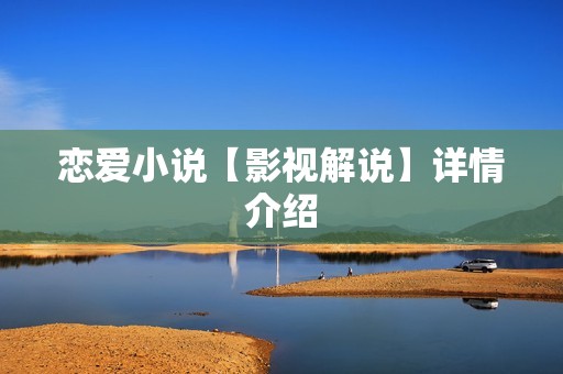 恋爱小说【影视解说】详情介绍