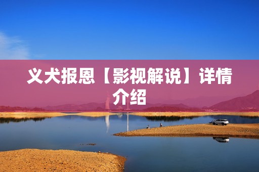 义犬报恩【影视解说】详情介绍