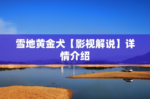 雪地黄金犬【影视解说】详情介绍