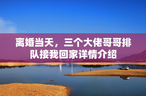 离婚当天,三个大佬哥哥排队接我回家详情介绍 离婚当天,三个大佬哥哥排队接我回家详情介绍