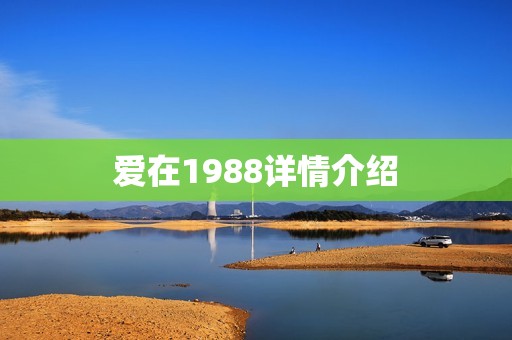 爱在1988详情介绍