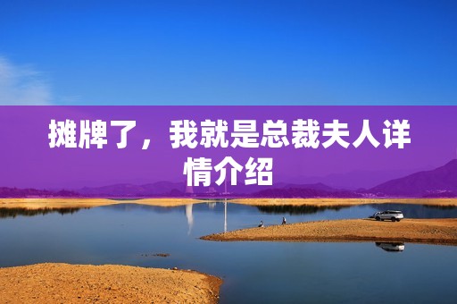 摊牌了，我就是总裁夫人详情介绍