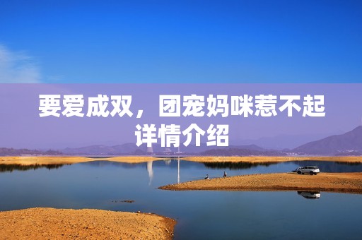 要爱成双，团宠妈咪惹不起详情介绍