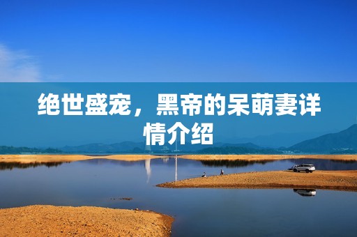 绝世盛宠，黑帝的呆萌妻详情介绍