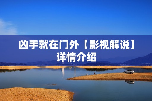 凶手就在门外【影视解说】详情介绍