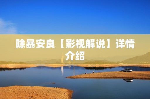 除暴安良【影视解说】详情介绍