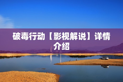 破毒行动【影视解说】详情介绍