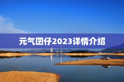 元气囝仔2023详情介绍
