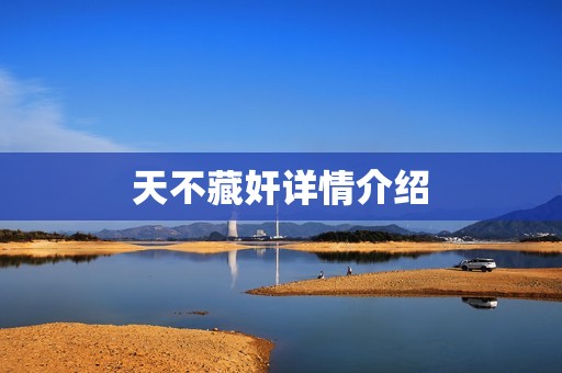 天不藏奸详情介绍