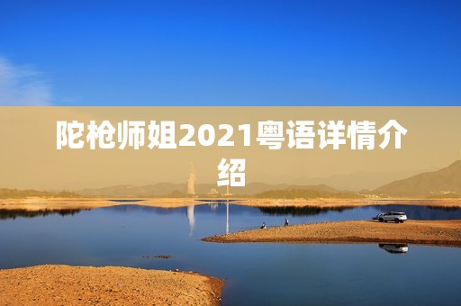 陀枪师姐2021粤语详情介绍