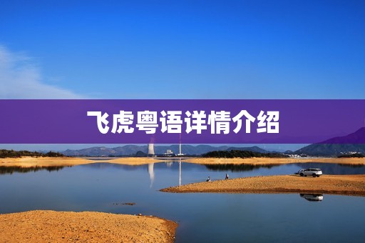 飞虎粤语详情介绍