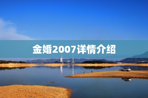金婚2007详情介绍