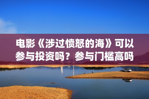电影《涉过愤怒的海》可以参与投资吗？参与门槛高吗？(涉过愤怒的海小说在线阅读)
