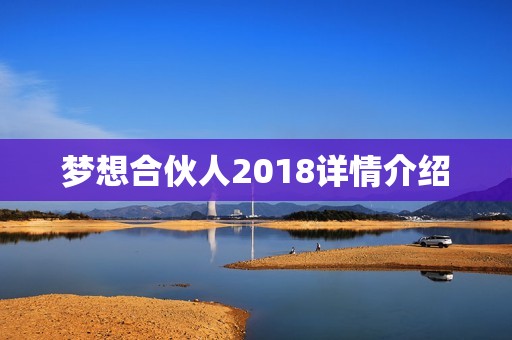 梦想合伙人2018详情介绍
