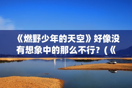 《燃野少年的天空》好像没有想象中的那么不行？(《燃野少年的天空》续集)