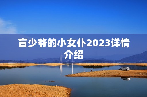盲少爷的小女仆2023详情介绍