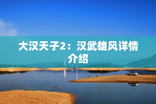 大汉天子2：汉武雄风详情介绍