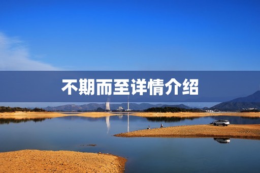 不期而至详情介绍