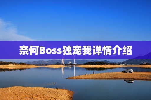 奈何Boss独宠我详情介绍