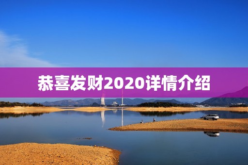 恭喜发财2020详情介绍