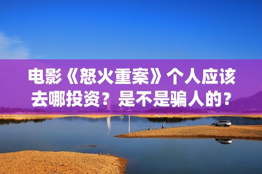 电影《怒火重案》个人应该去哪投资？是不是骗人的？(电影怒火重案国语高清版在线观看)