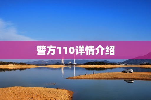 警方110详情介绍