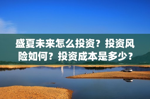 盛夏未来怎么投资？投资风险如何？投资成本是多少？(盛夏未来怎么投资)