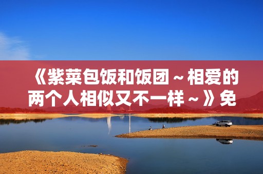 《紫菜包饭和饭团～相爱的两个人相似又不一样～》免费在线观看高清完整版