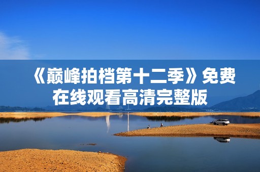 《巅峰拍档第十二季》免费在线观看高清完整版