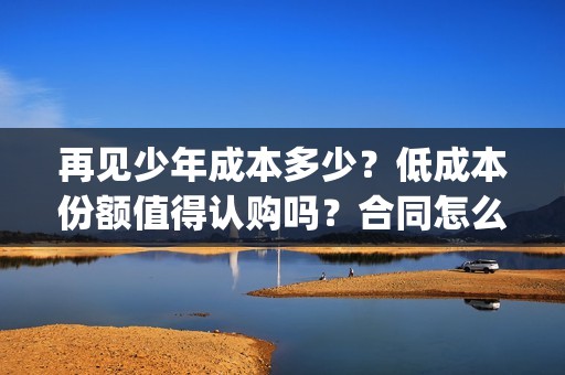 再见少年成本多少？低成本份额值得认购吗？合同怎么签？(再见少年改编自)